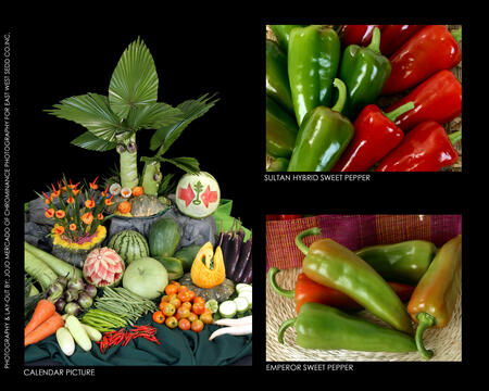 Agricultural Product Shot_4